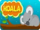 EG Koala